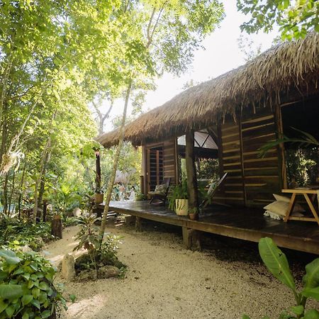 Pensjonat Madre Tierra Eco Habitat Puerto Morelos Zewnętrze zdjęcie
