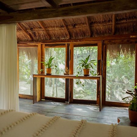 Pensjonat Madre Tierra Eco Habitat Puerto Morelos Zewnętrze zdjęcie
