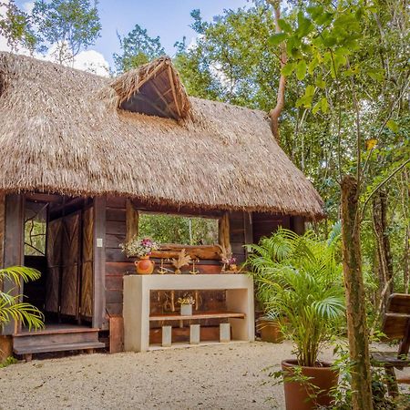 Pensjonat Madre Tierra Eco Habitat Puerto Morelos Zewnętrze zdjęcie