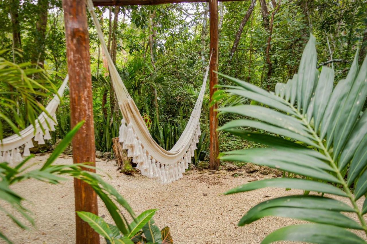 Pensjonat Madre Tierra Eco Habitat Puerto Morelos Zewnętrze zdjęcie