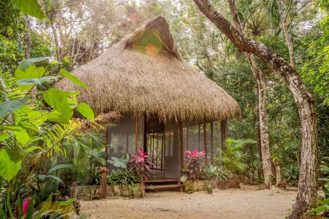 Pensjonat Madre Tierra Eco Habitat Puerto Morelos Zewnętrze zdjęcie