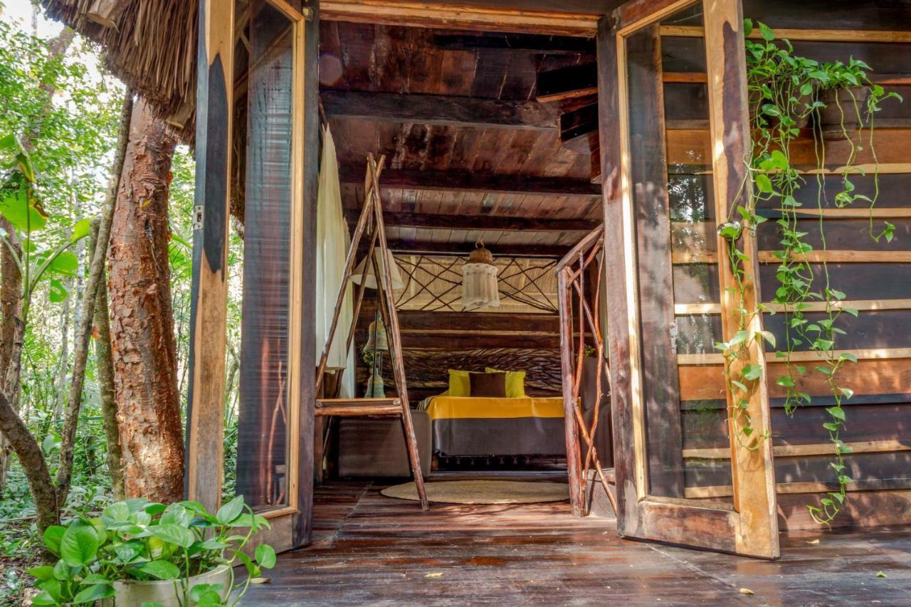 Pensjonat Madre Tierra Eco Habitat Puerto Morelos Zewnętrze zdjęcie