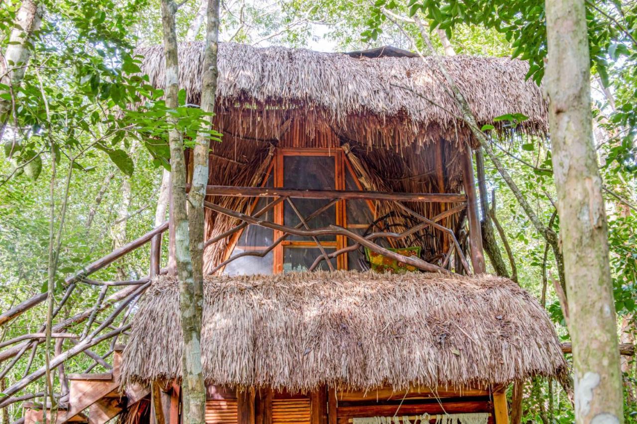 Pensjonat Madre Tierra Eco Habitat Puerto Morelos Zewnętrze zdjęcie