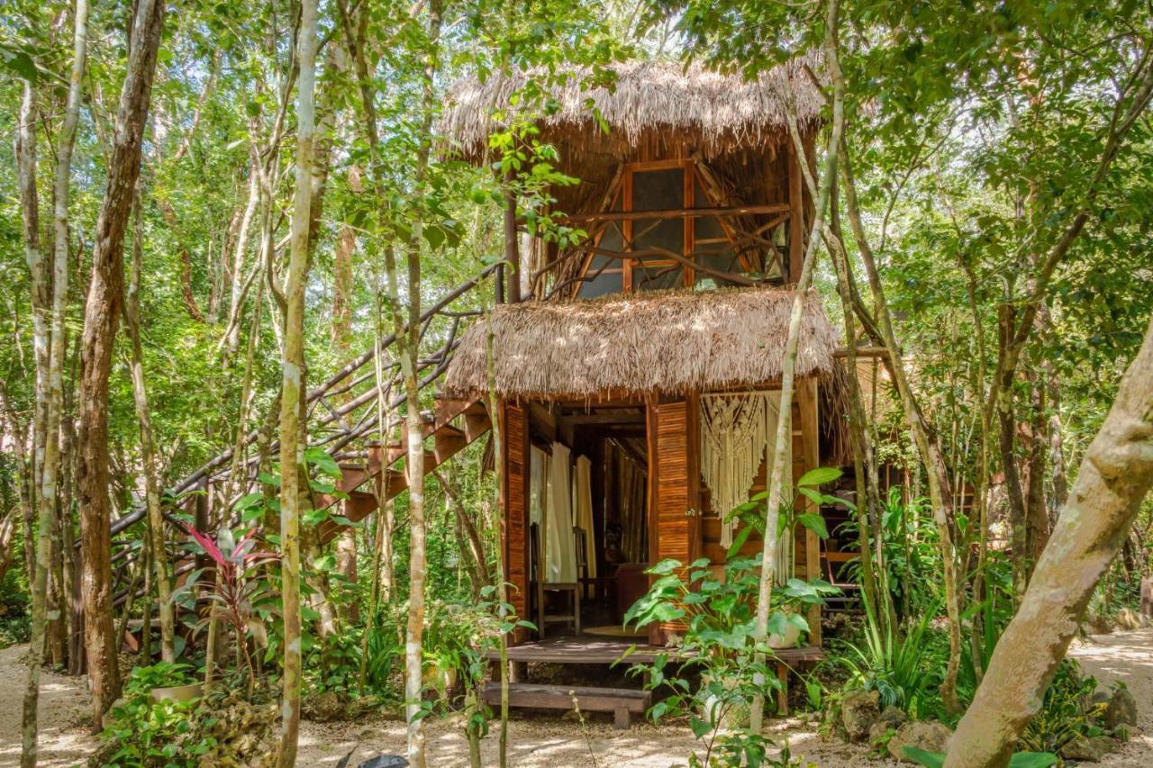 Pensjonat Madre Tierra Eco Habitat Puerto Morelos Zewnętrze zdjęcie