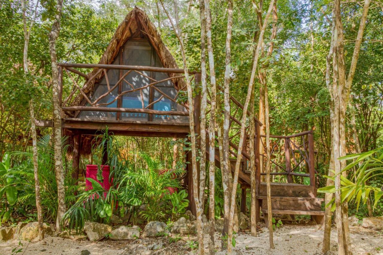 Pensjonat Madre Tierra Eco Habitat Puerto Morelos Zewnętrze zdjęcie
