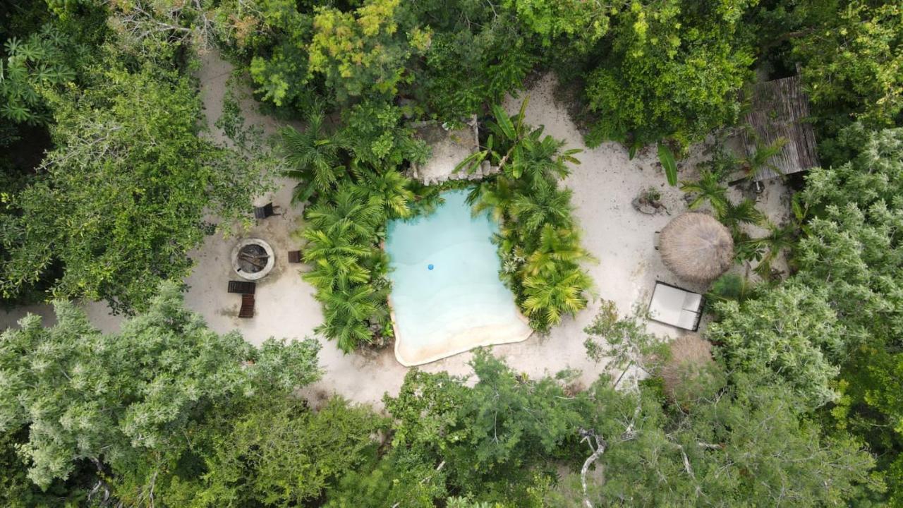 Pensjonat Madre Tierra Eco Habitat Puerto Morelos Zewnętrze zdjęcie