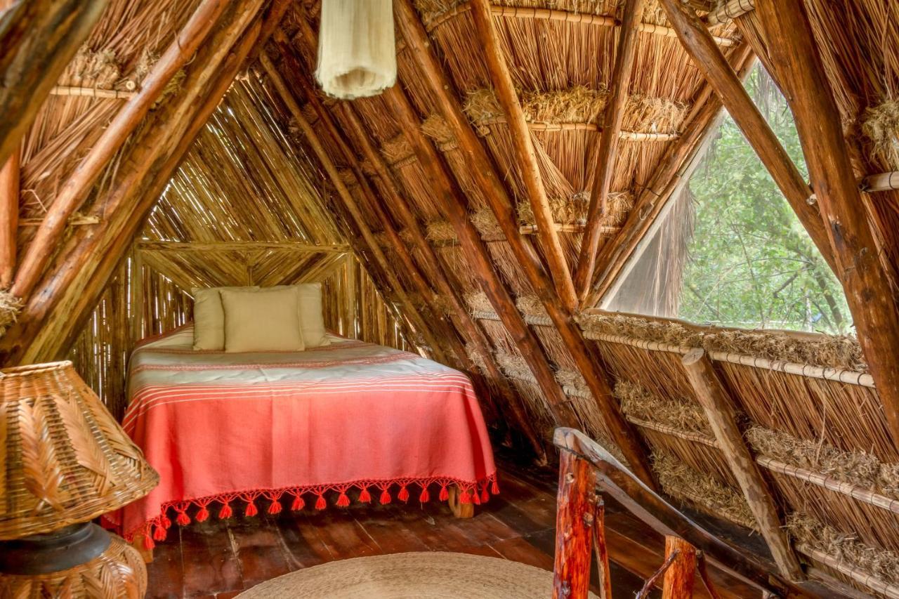 Pensjonat Madre Tierra Eco Habitat Puerto Morelos Zewnętrze zdjęcie