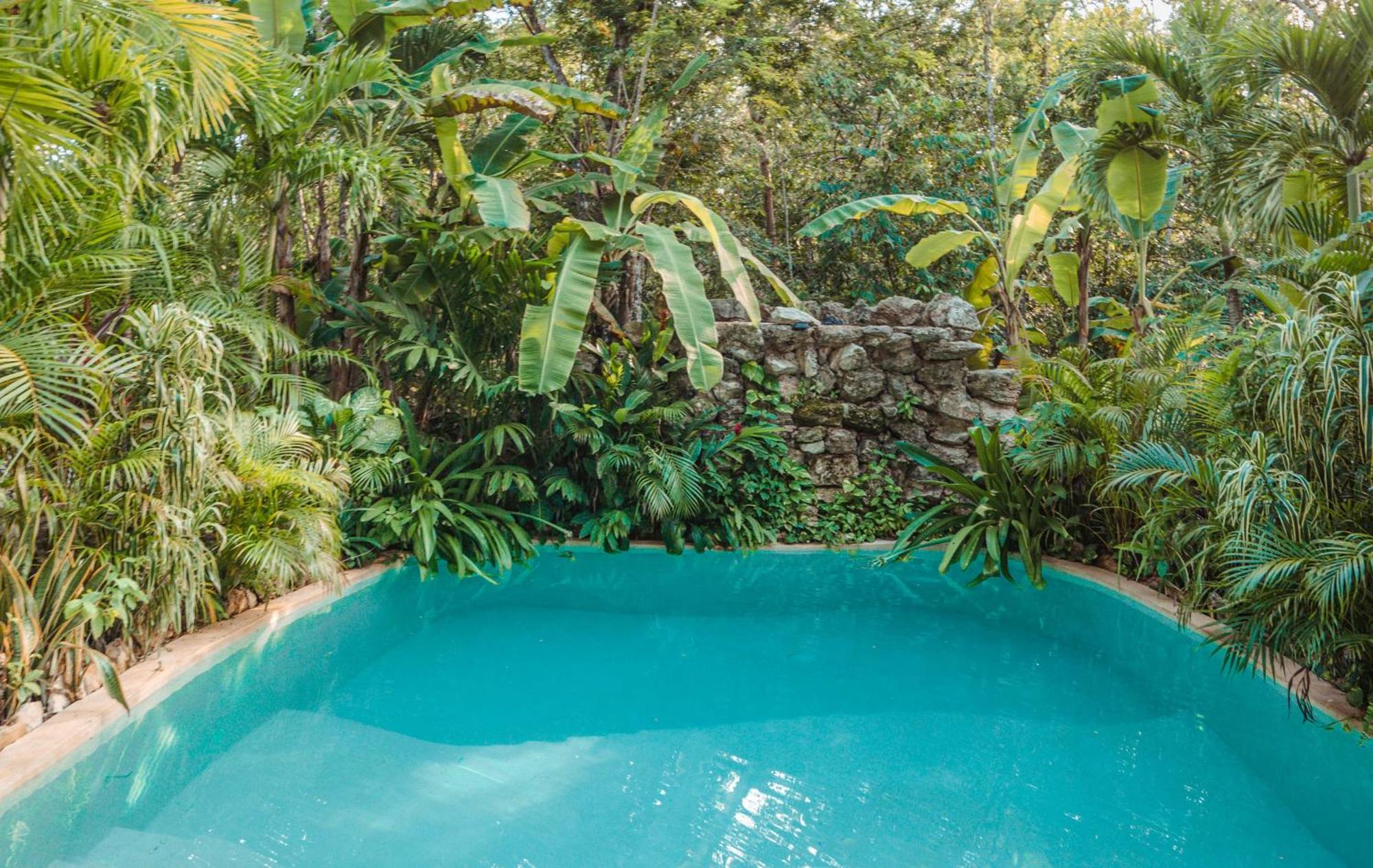 Pensjonat Madre Tierra Eco Habitat Puerto Morelos Zewnętrze zdjęcie
