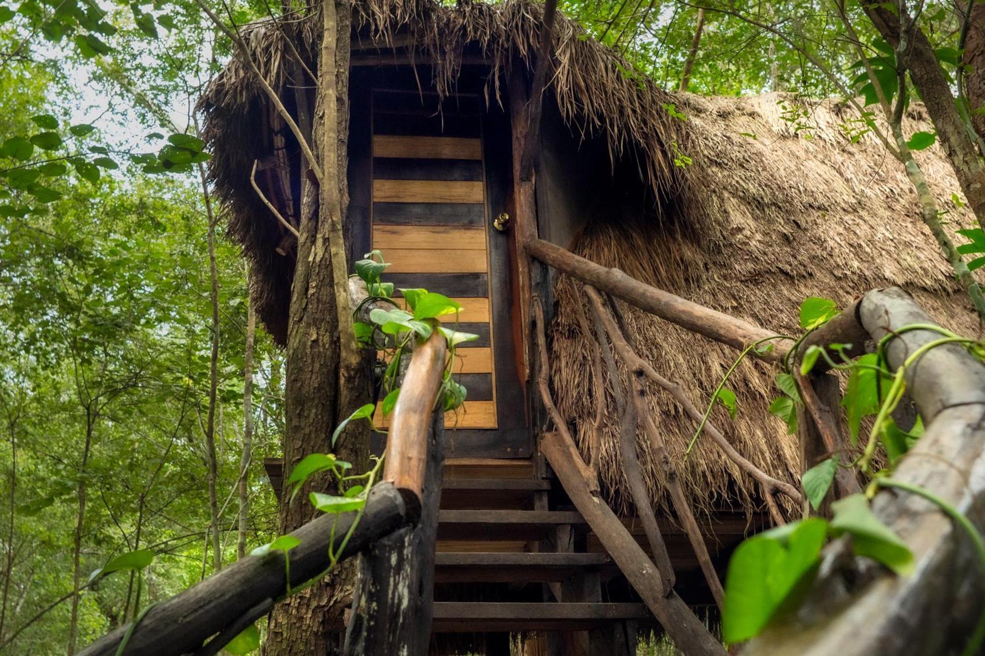 Pensjonat Madre Tierra Eco Habitat Puerto Morelos Zewnętrze zdjęcie